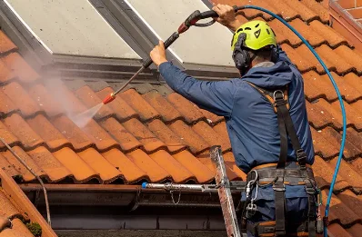 Démoussage et hydrofuge de toiture à Fonteny